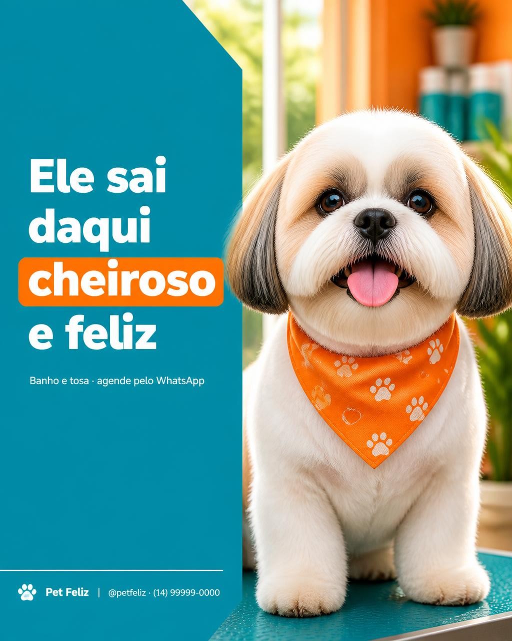 Post de pet shop feito no app